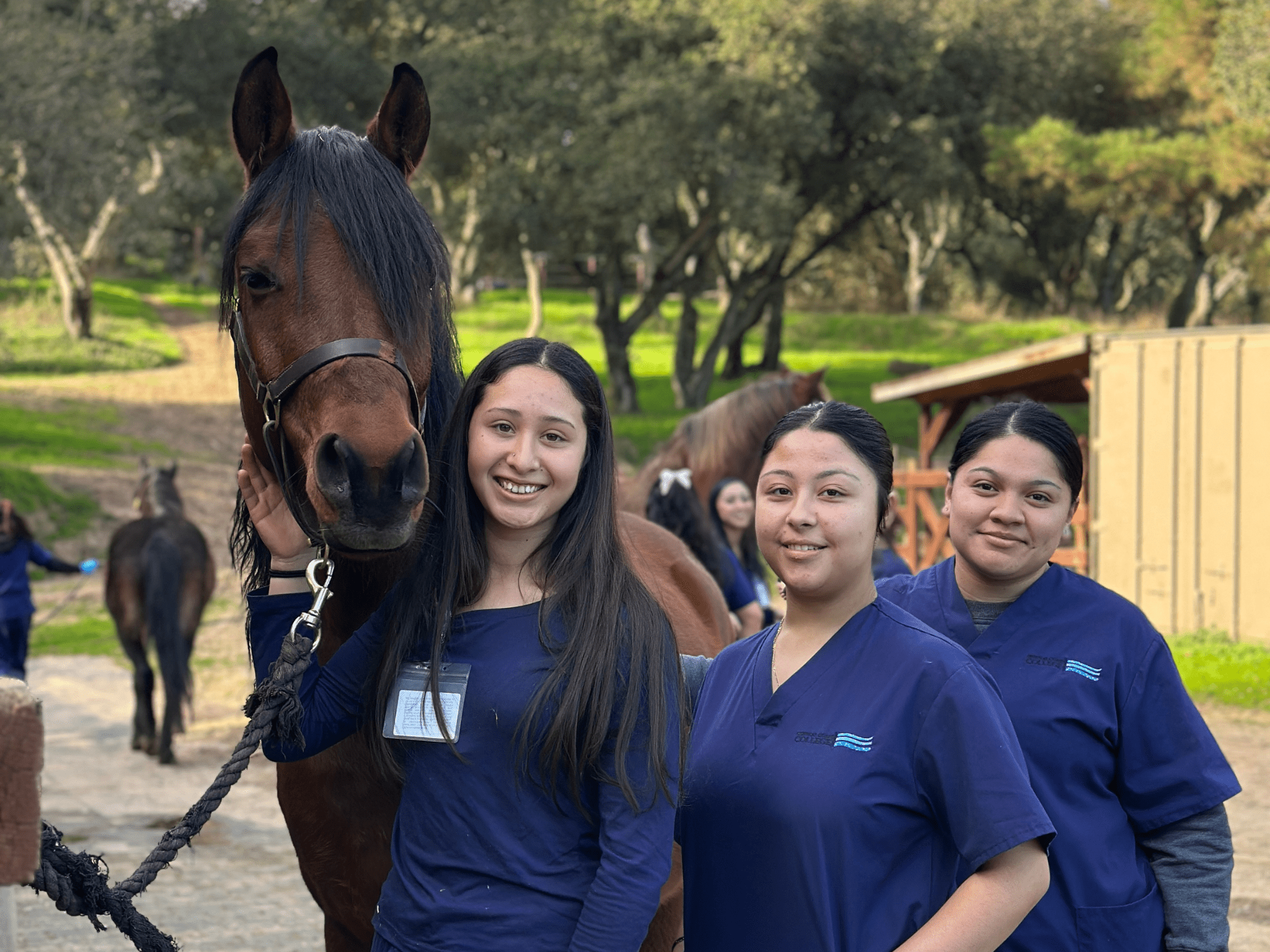Veterinary Technology at CCC