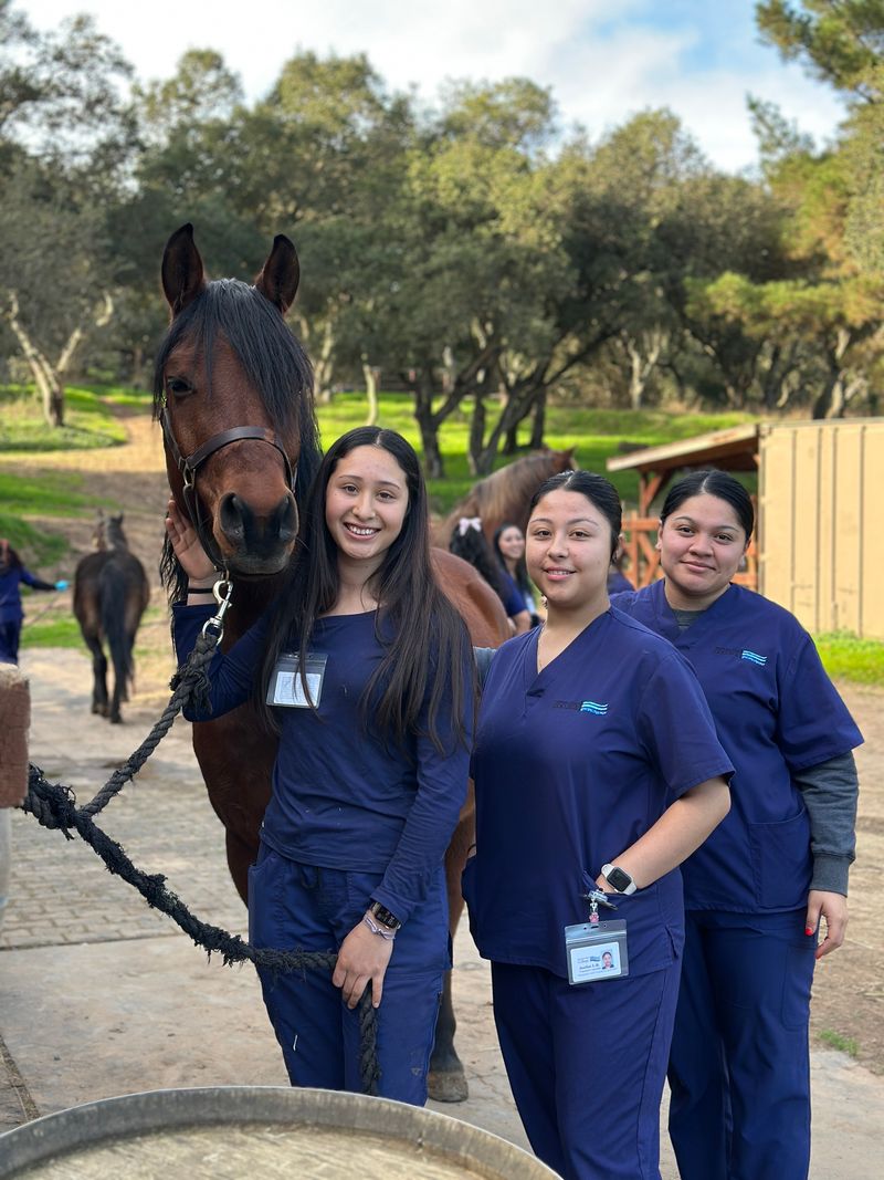 Why Choose Central Coast College for Your Veterinary Assistant Training?